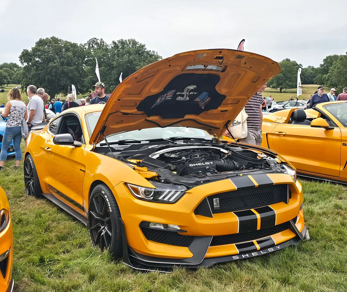 Ford Mustang Shelby GT350 2025 - Image 6