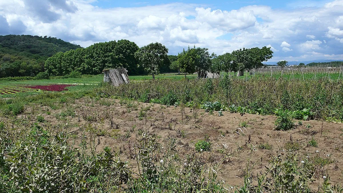 MG MG M9 2026 MG M9 Luxury - Image 5