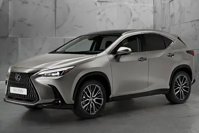 Lexus NX 350h Hybrid 2025 - Singapore Market
