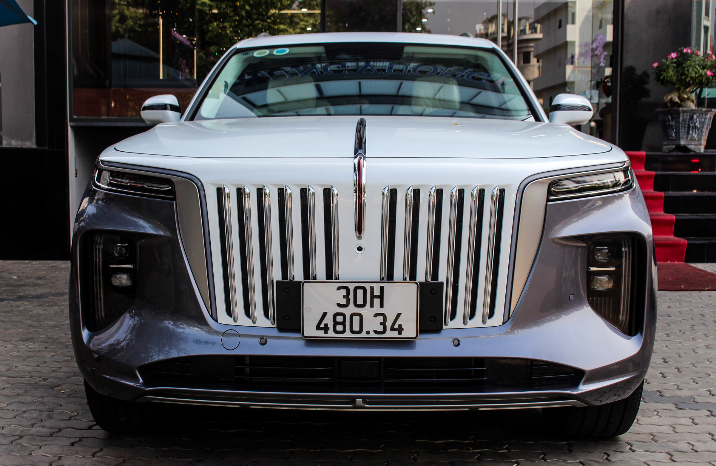 Hongqi E-HS9 2022 - Image 2