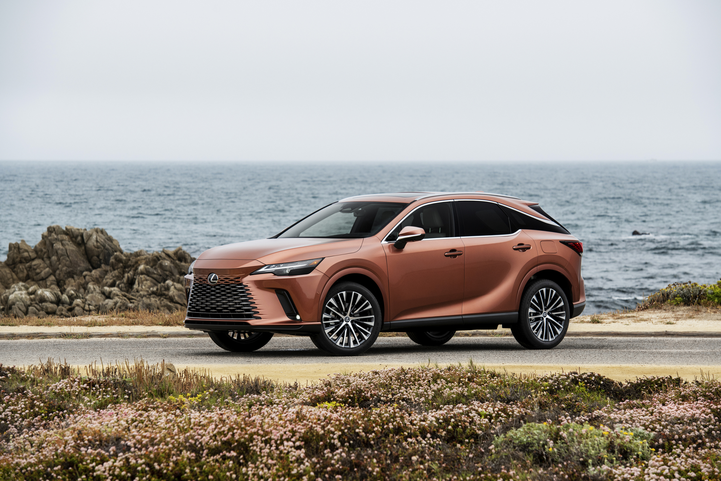 Lexus RX 2023 - Image 2