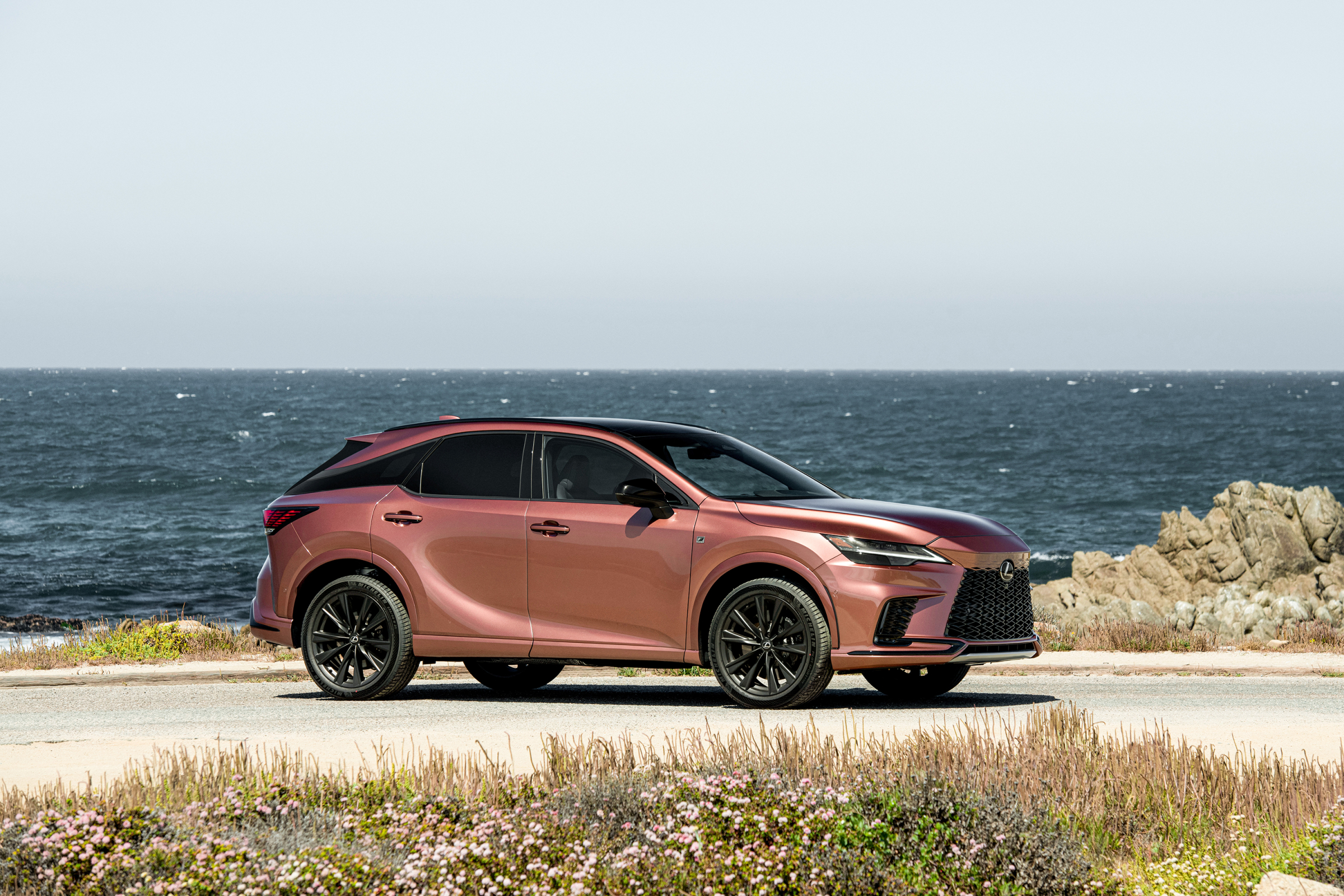 Lexus RX 2023 - Image 3
