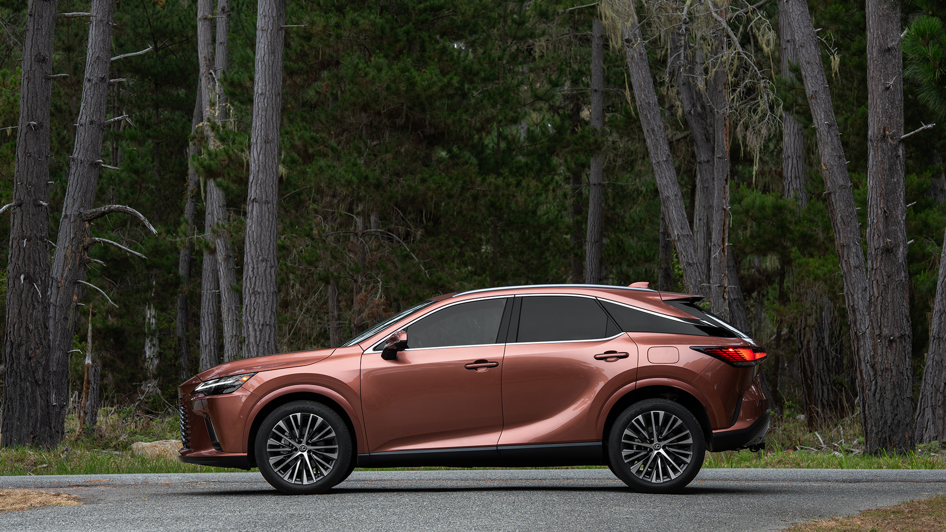 Lexus RX 2023 - Image 4