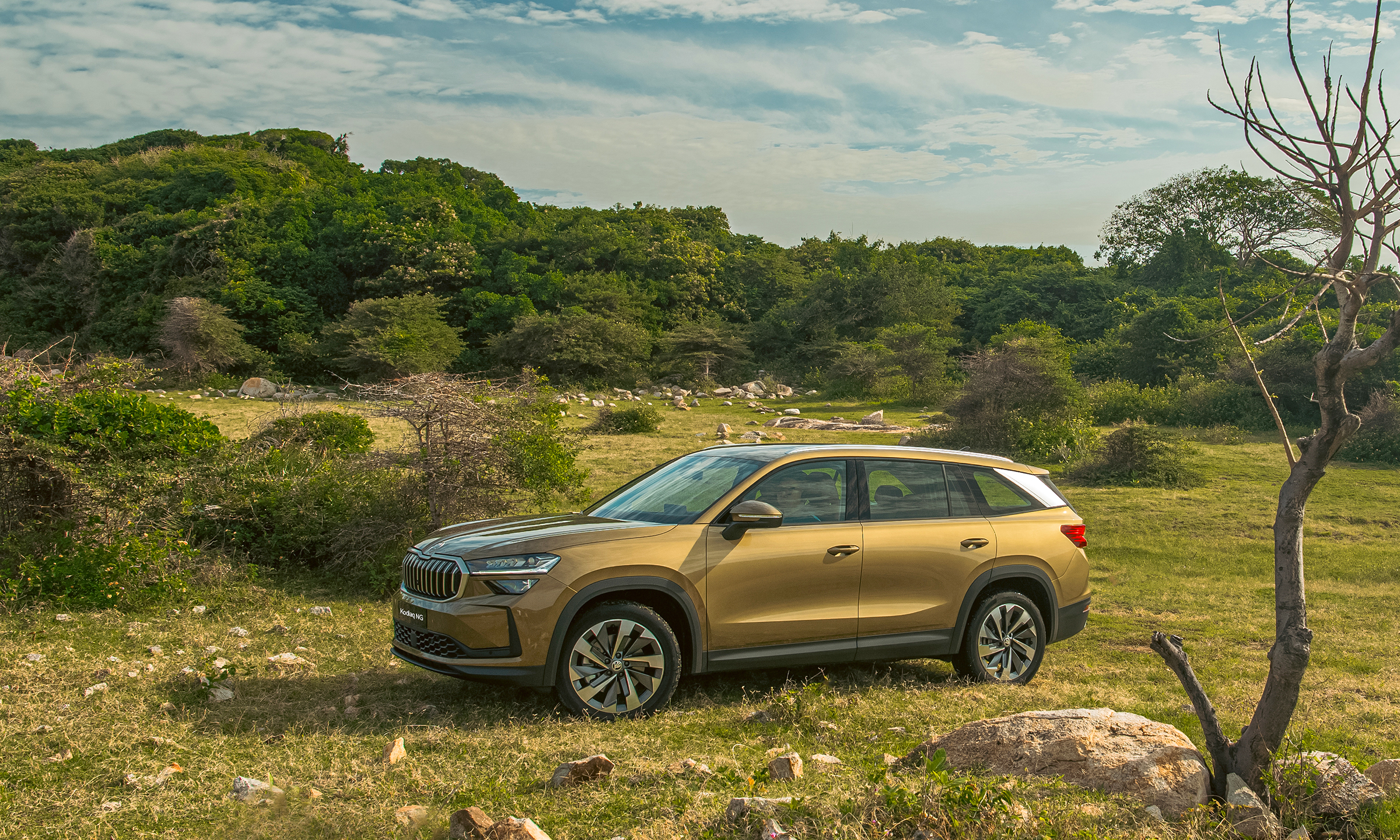 Skoda Kodiaq 2025 - Image 2