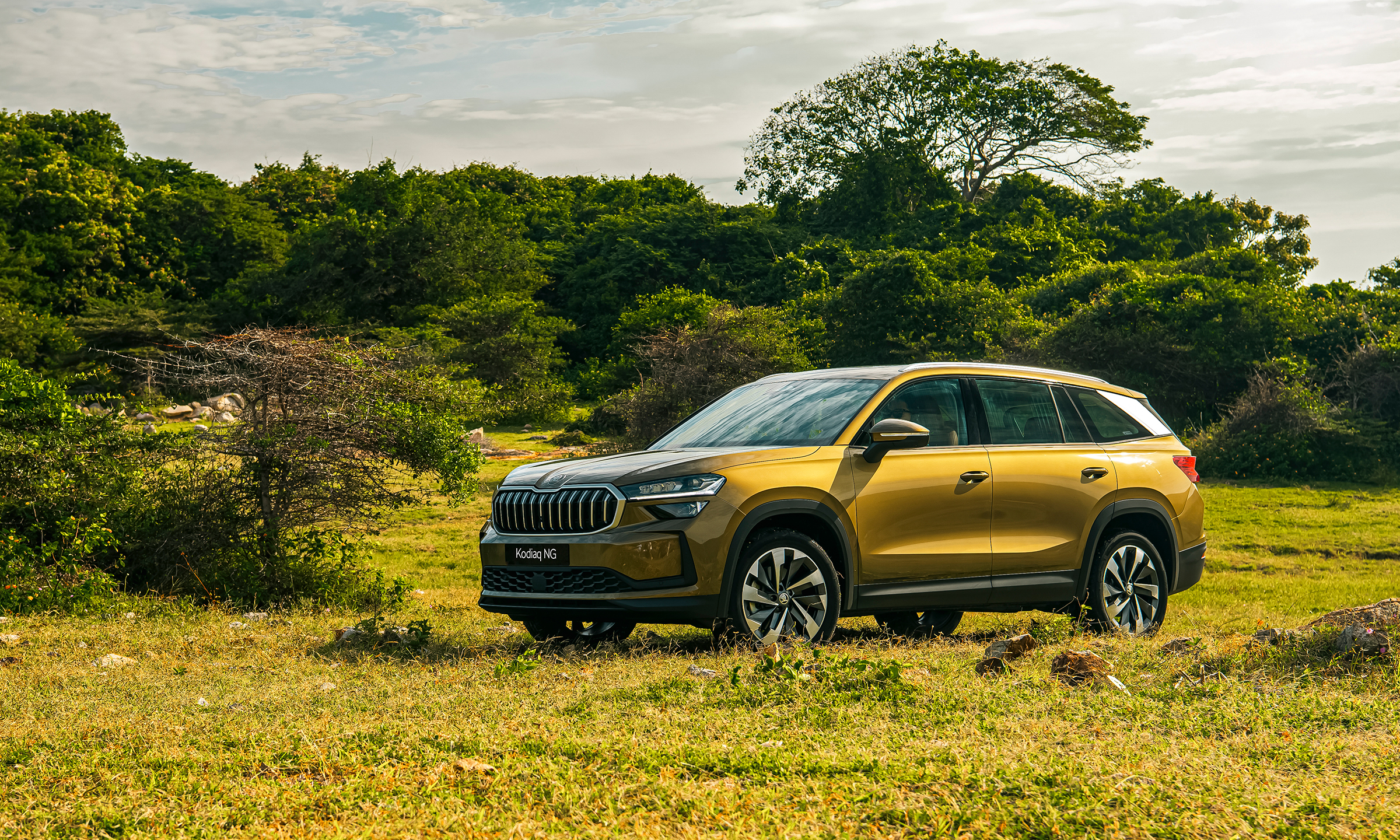 Skoda Kodiaq 2025 - Image 4